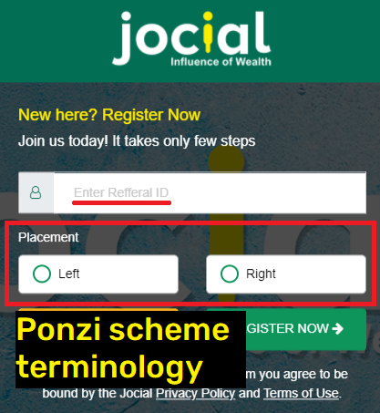 ponzi scheme terminology