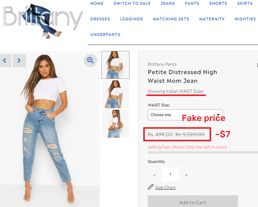 brittany pants scam copied image 2