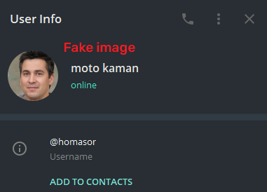 fake telegram account 2