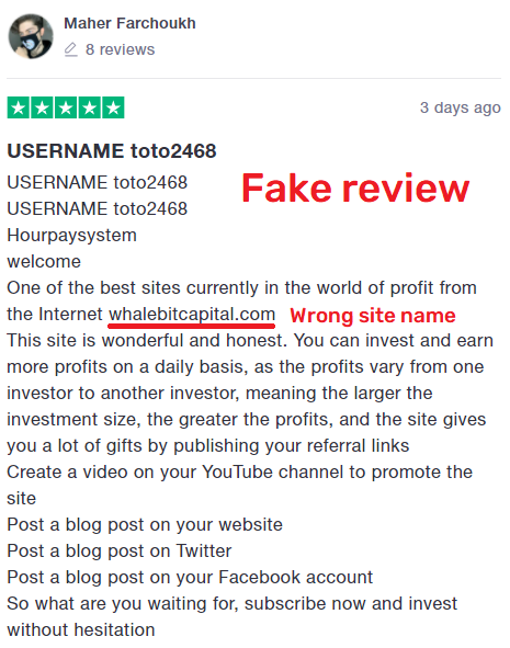hour pay system scam review 3