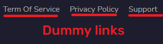 dummy tos and privacy policy
