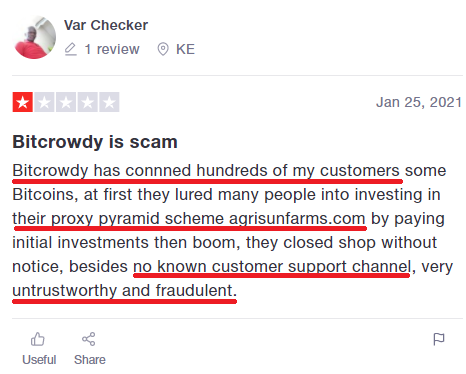 bitcrowdy scam review 3