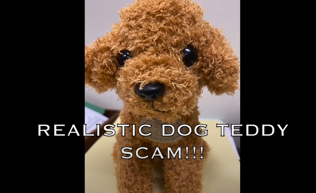 realistic puppy doll scam youtube screenshot