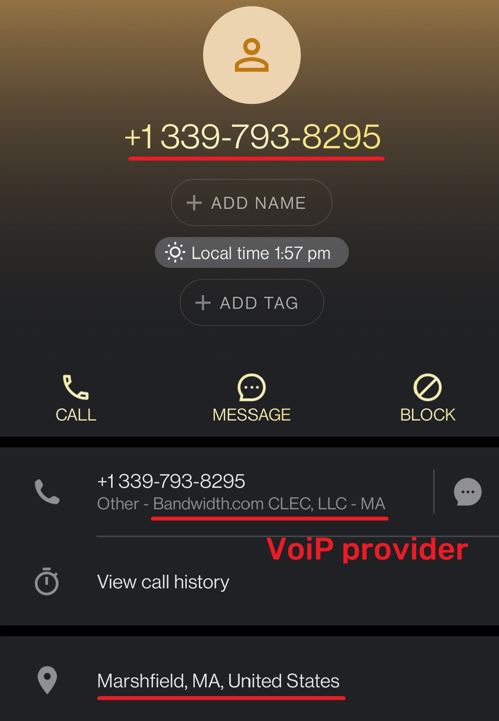 plonultimate scam phone 2