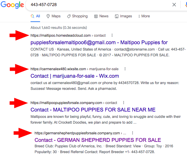 GermanShepherdPuppiesForSale scam 2