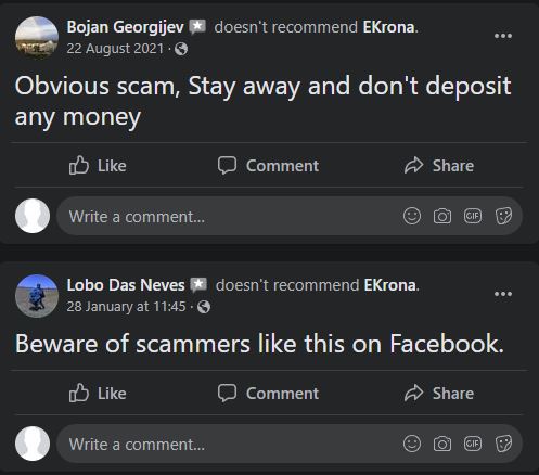 ekrona scam review 6