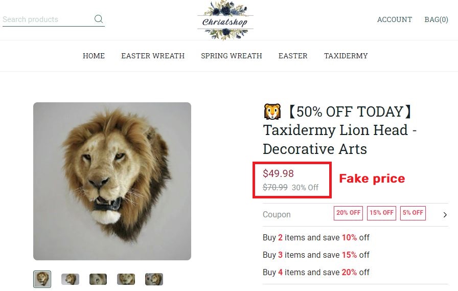 taxidermy lion real price