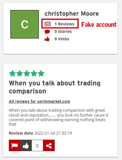 fake review