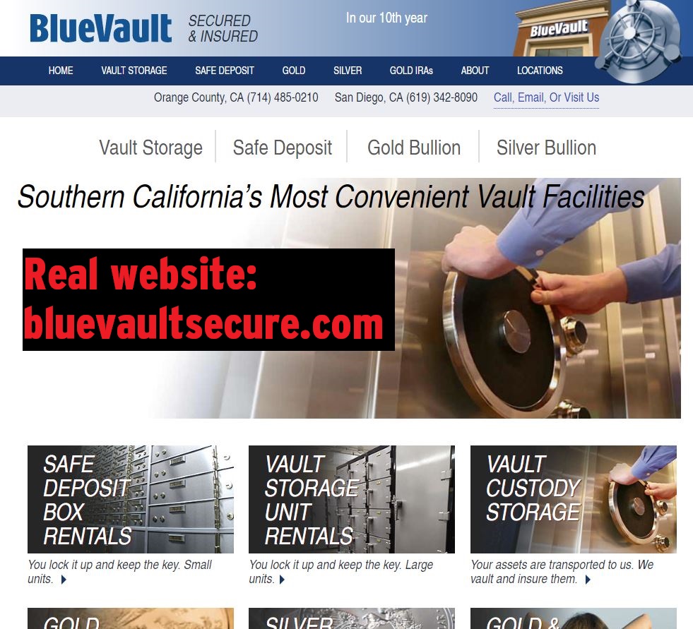 bluevaultsecure.com real website