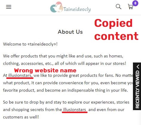 taineideocly scam copied about us text