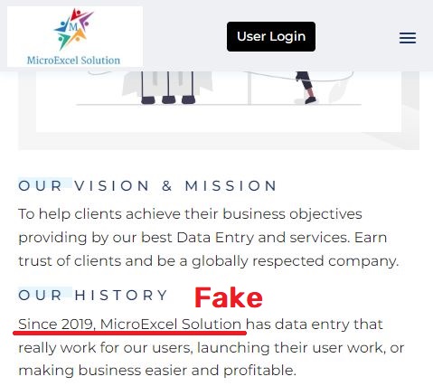 epagetyping microexcel solution scam fake website age