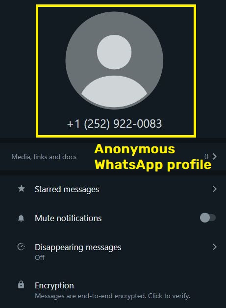 Chainrecoup scam anonymous whatsapp profile