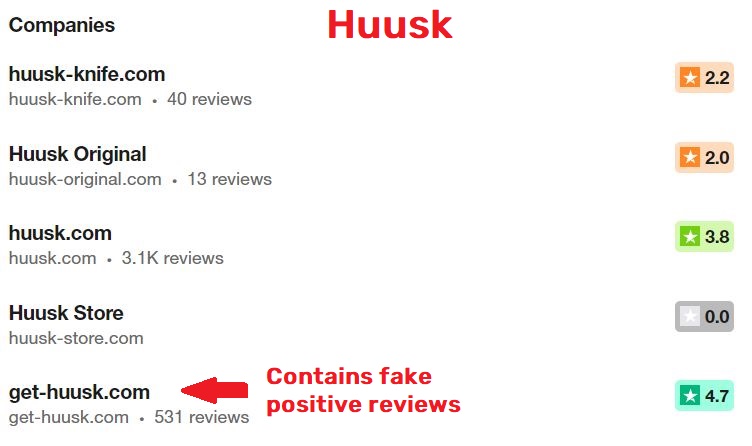 huusk scam trustpilot reviews