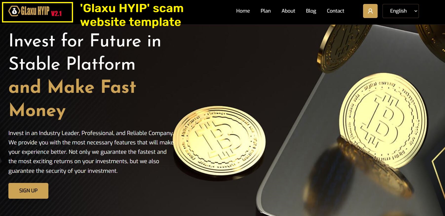 glaxu hyip scam template