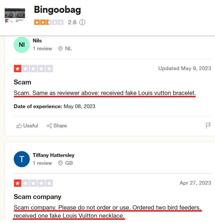 bingoobag changding trading limited scam trustpilot reivew 1