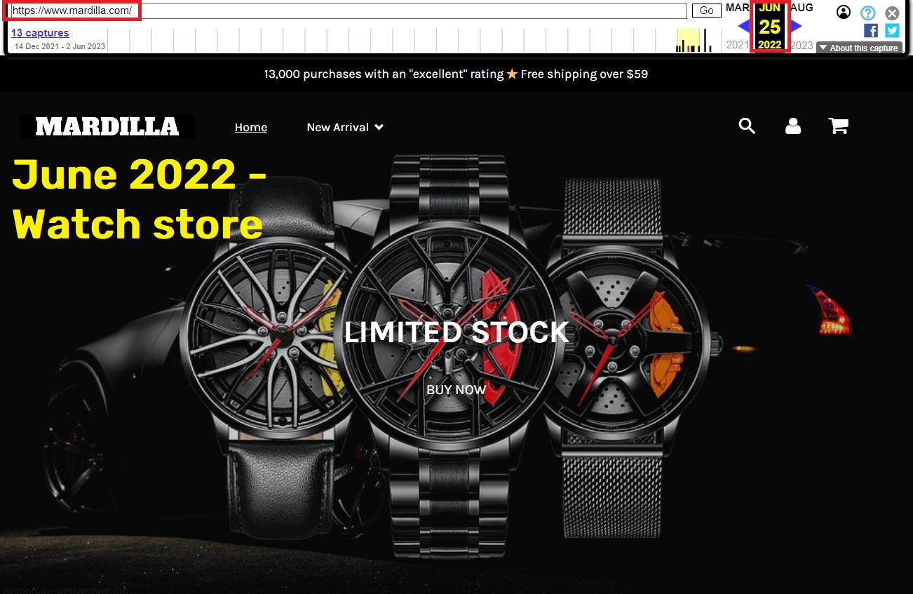 wayback machine snapshot 6