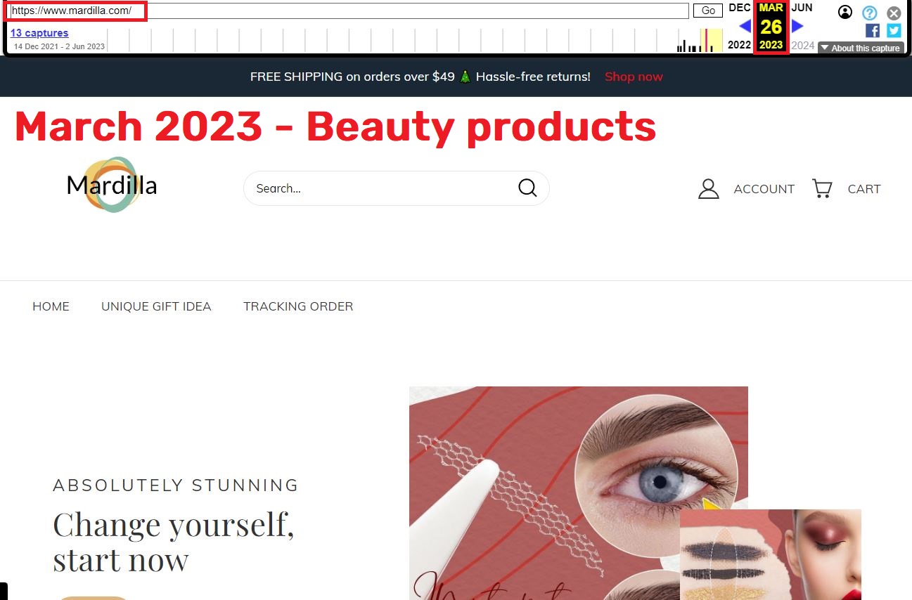 wayback machine snapshot 8