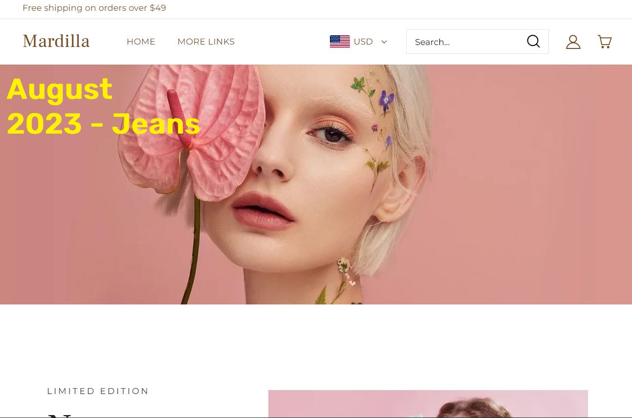 wayback machine snapshot 5