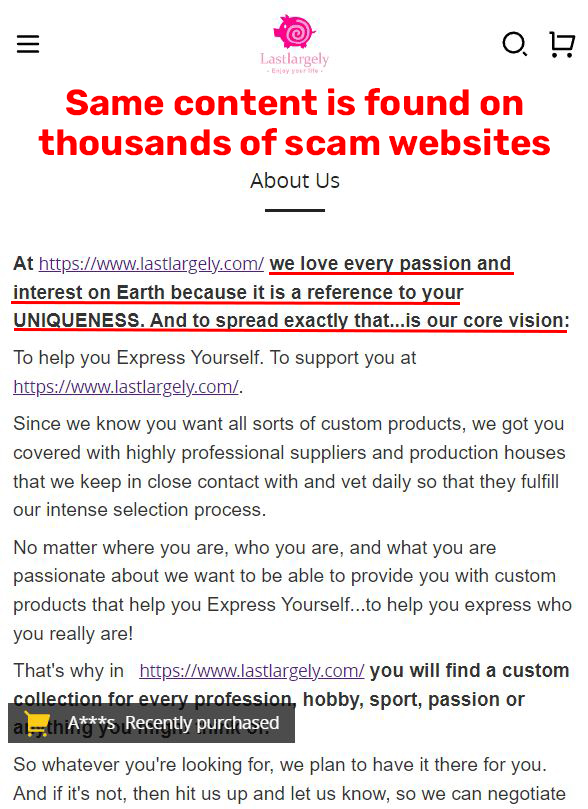 lastlargely scam uniquenes network china