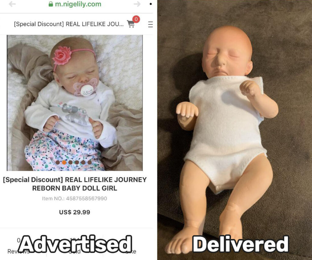 reborn doll scam expectation vs reality 2