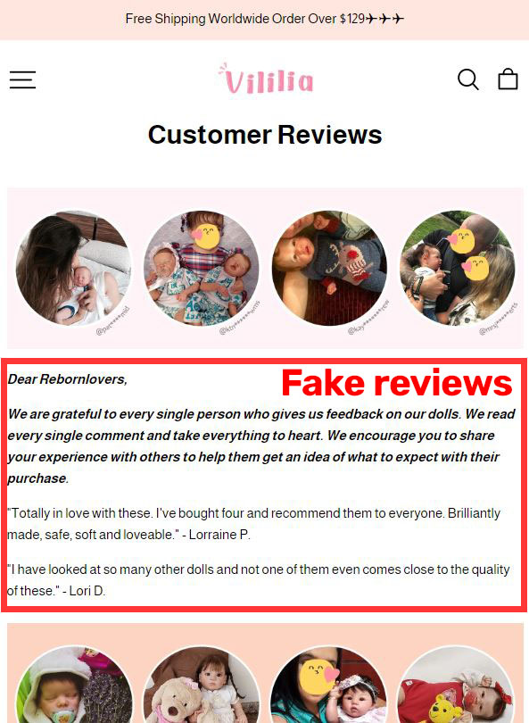 vililia mexong limited scam fake customer reviews