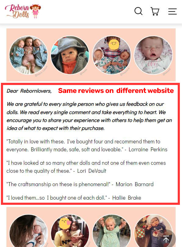 reborn dolls fake reviews 2