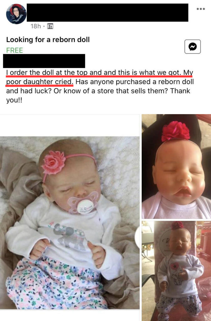 reborn doll scam expectation vs reality 1