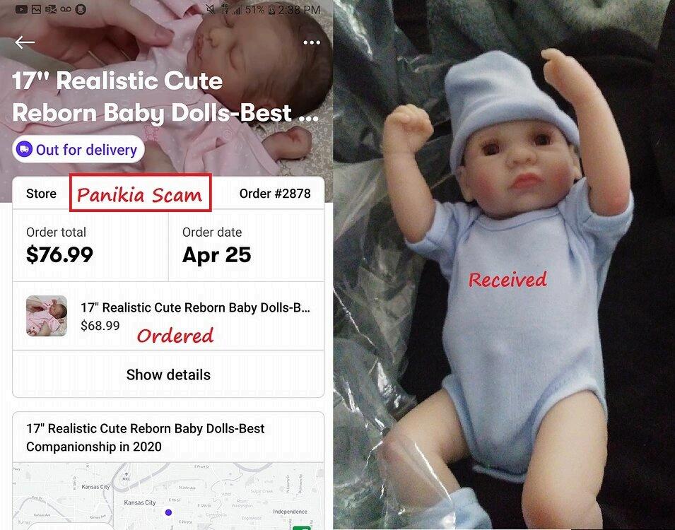 reborn doll scam panikia